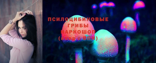 ГАЛЛЮЦИНОГЕННЫЕ ГРИБЫ Баксан